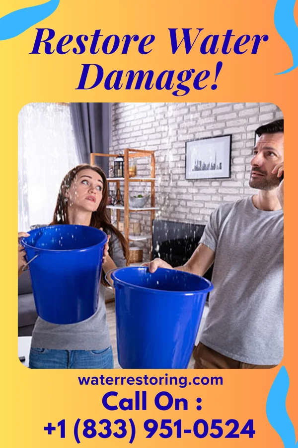 water restoration Pro Water Repair LLC Hillsboro